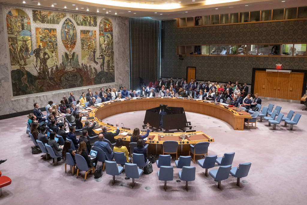 Security Council members vote in favour of the draft resolution.